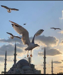 Turska_-_Istanbul