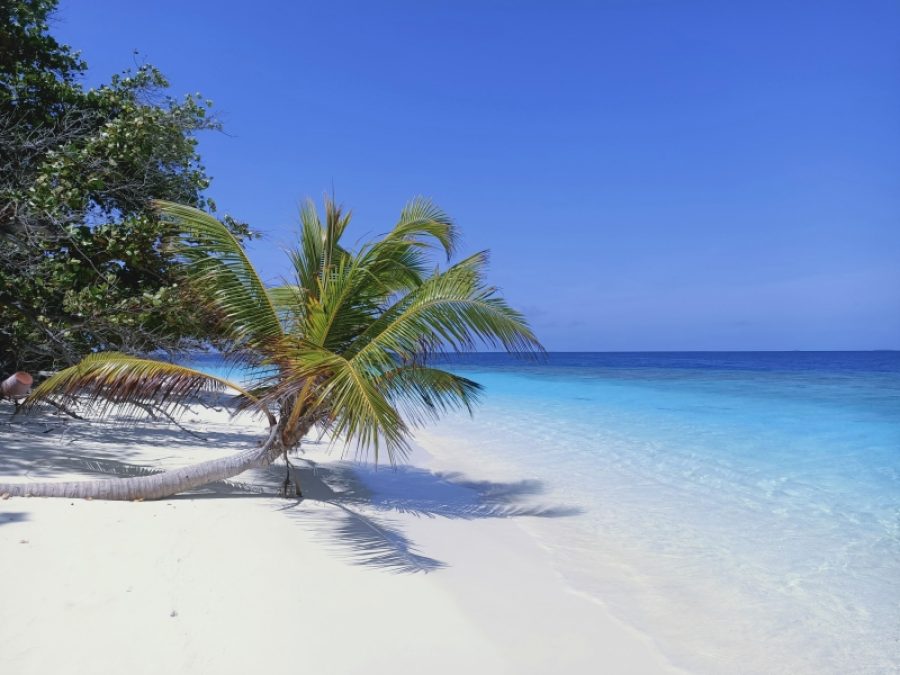Maldives - Trip Top Travel